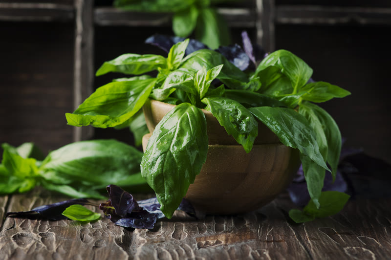 Fresh basil